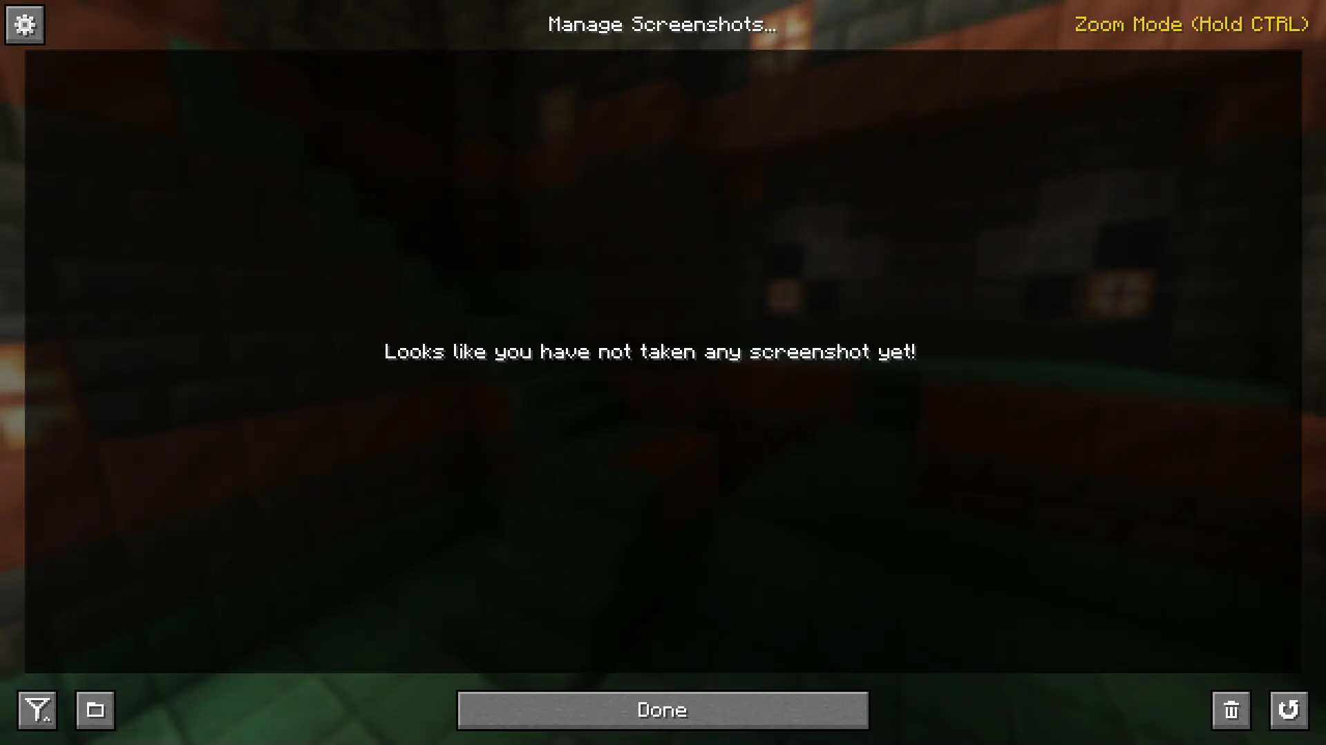 The In-Game Screenshot Browser.