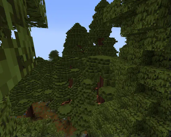 canopies; very tall trees