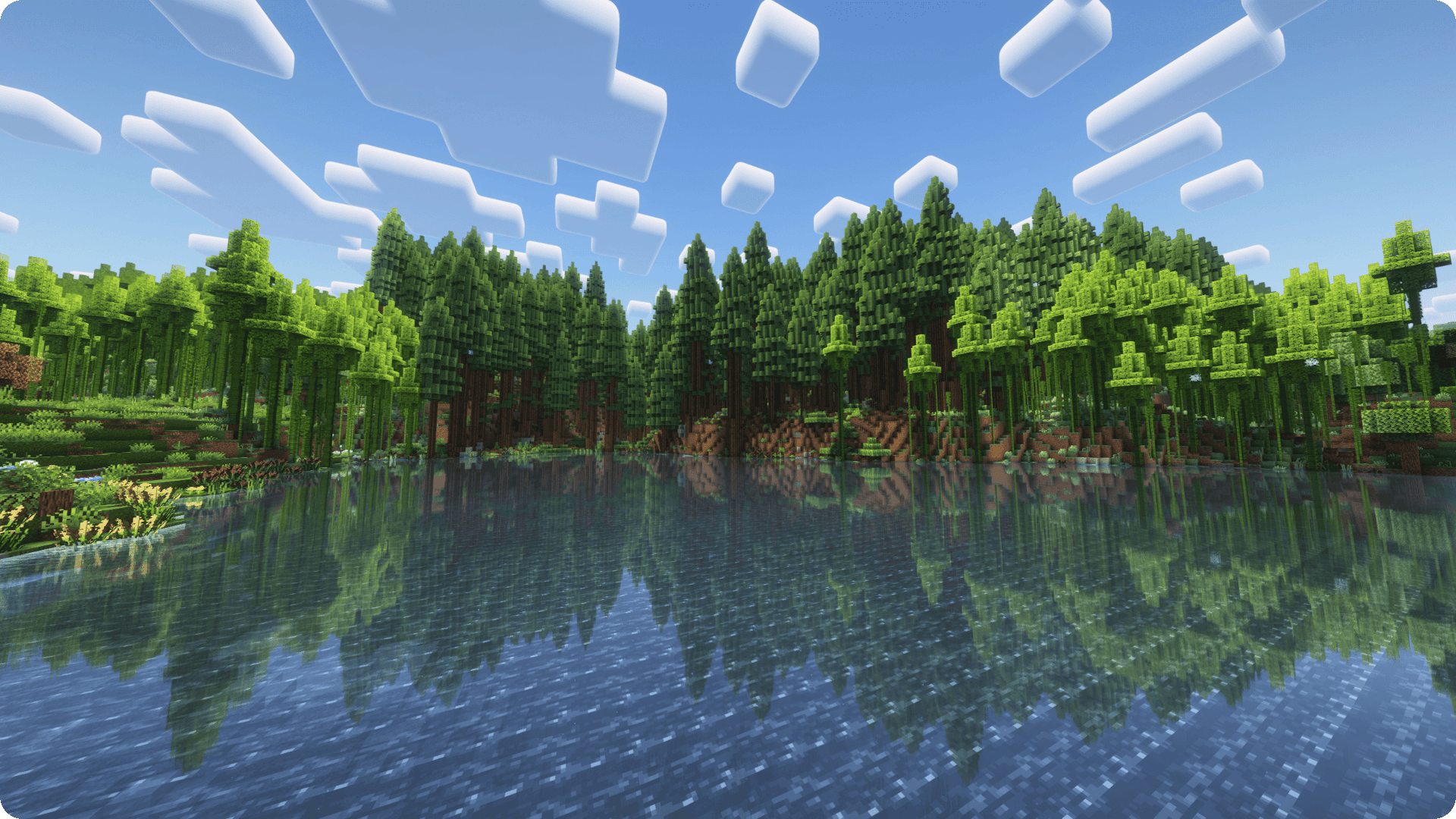 Screenshot from a beautiful forest