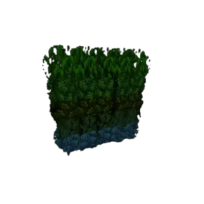 All five different leaf variants