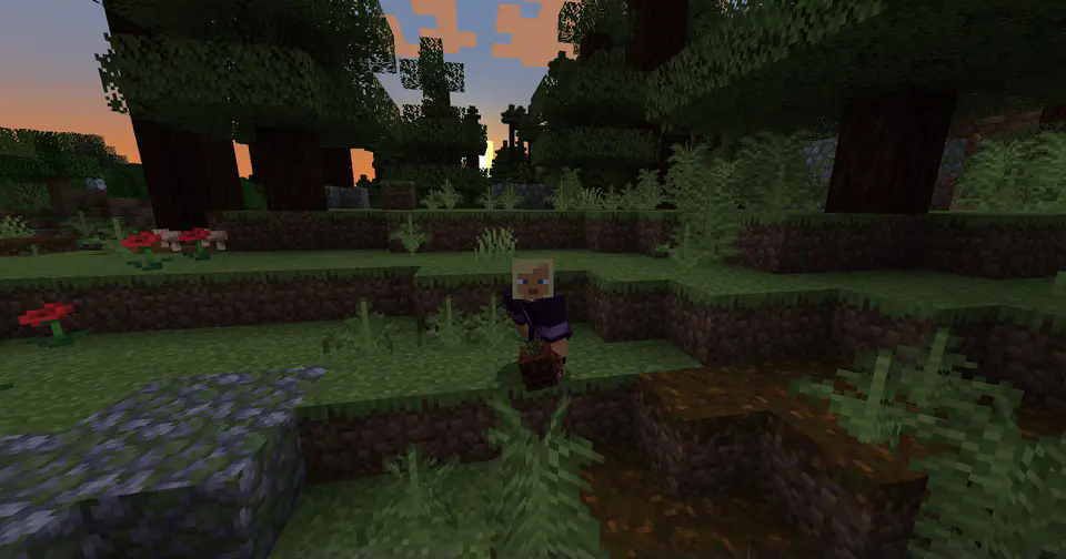 player holding an item