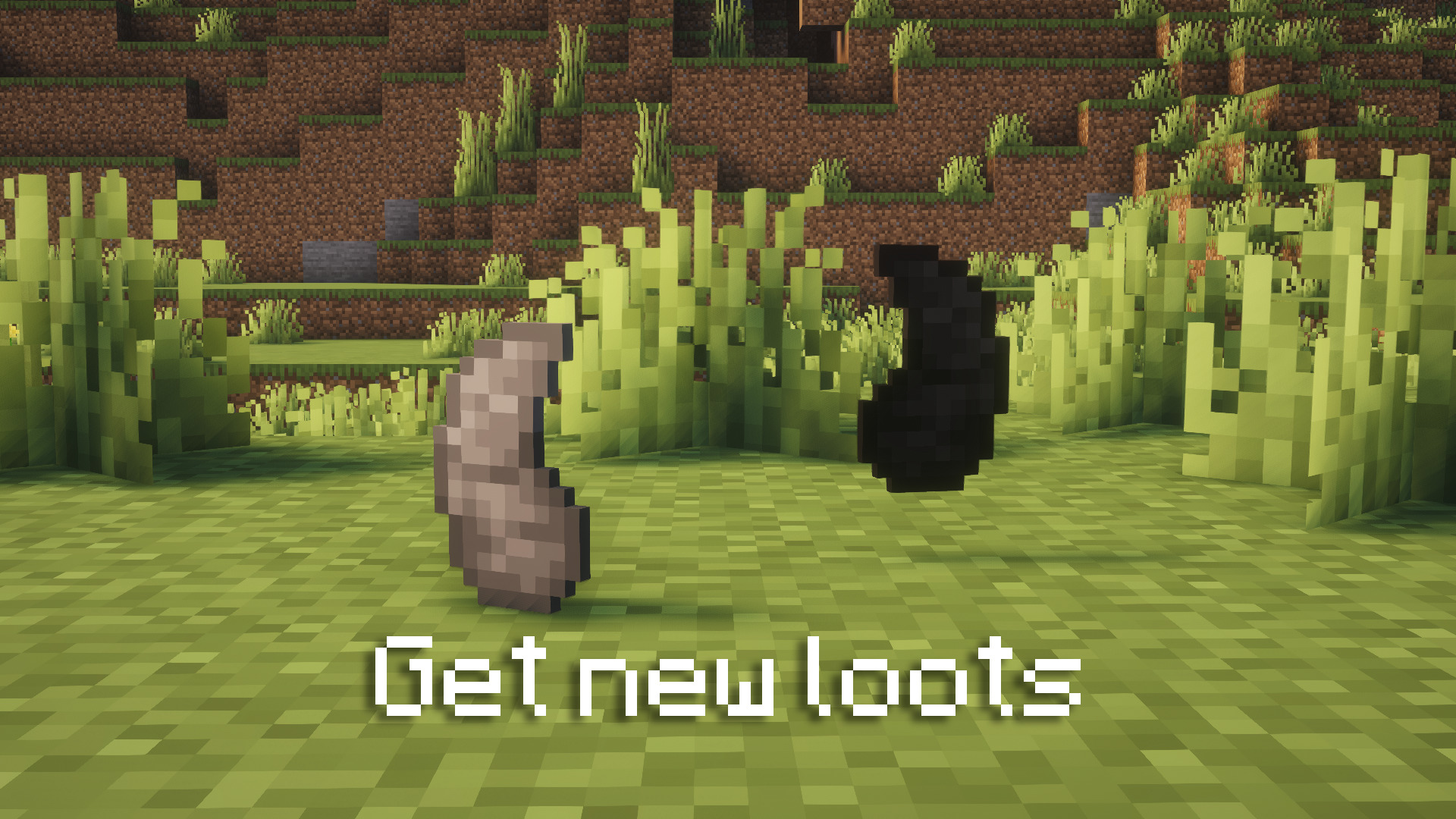 Get new loots