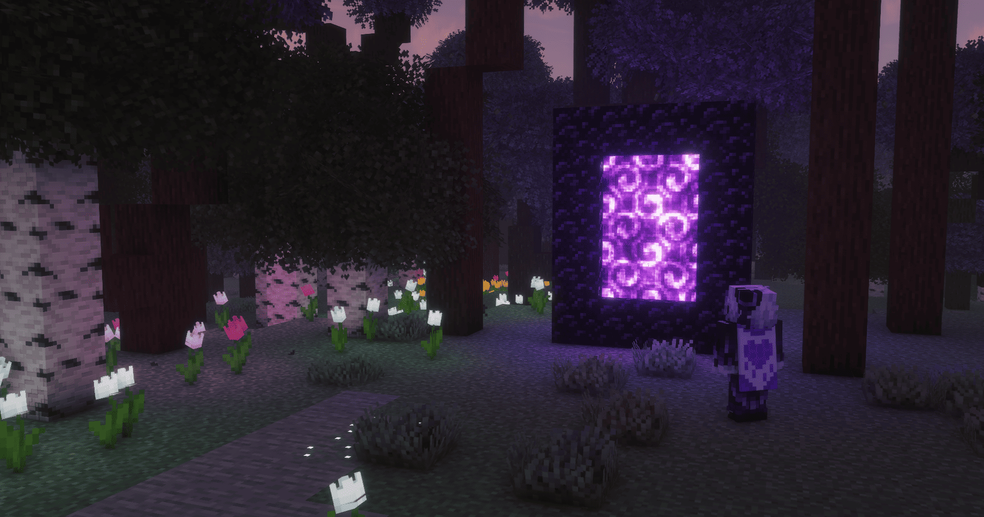 Nether Portal