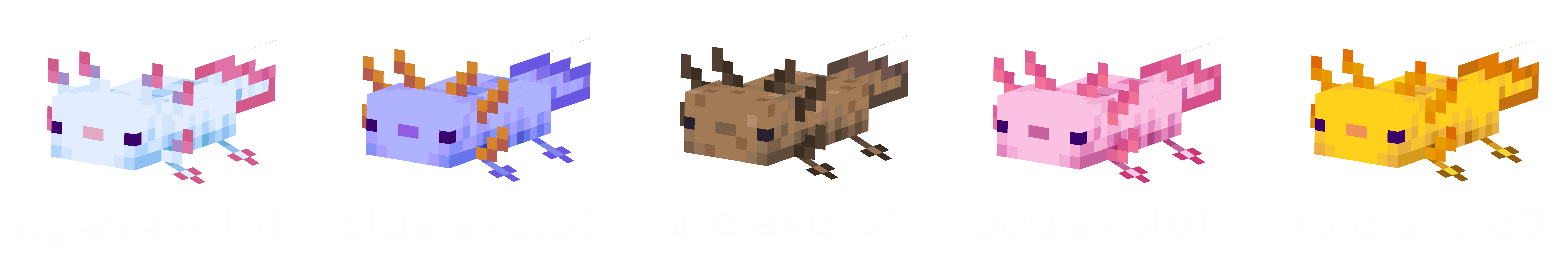 axolotl