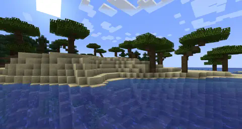 New beach tree