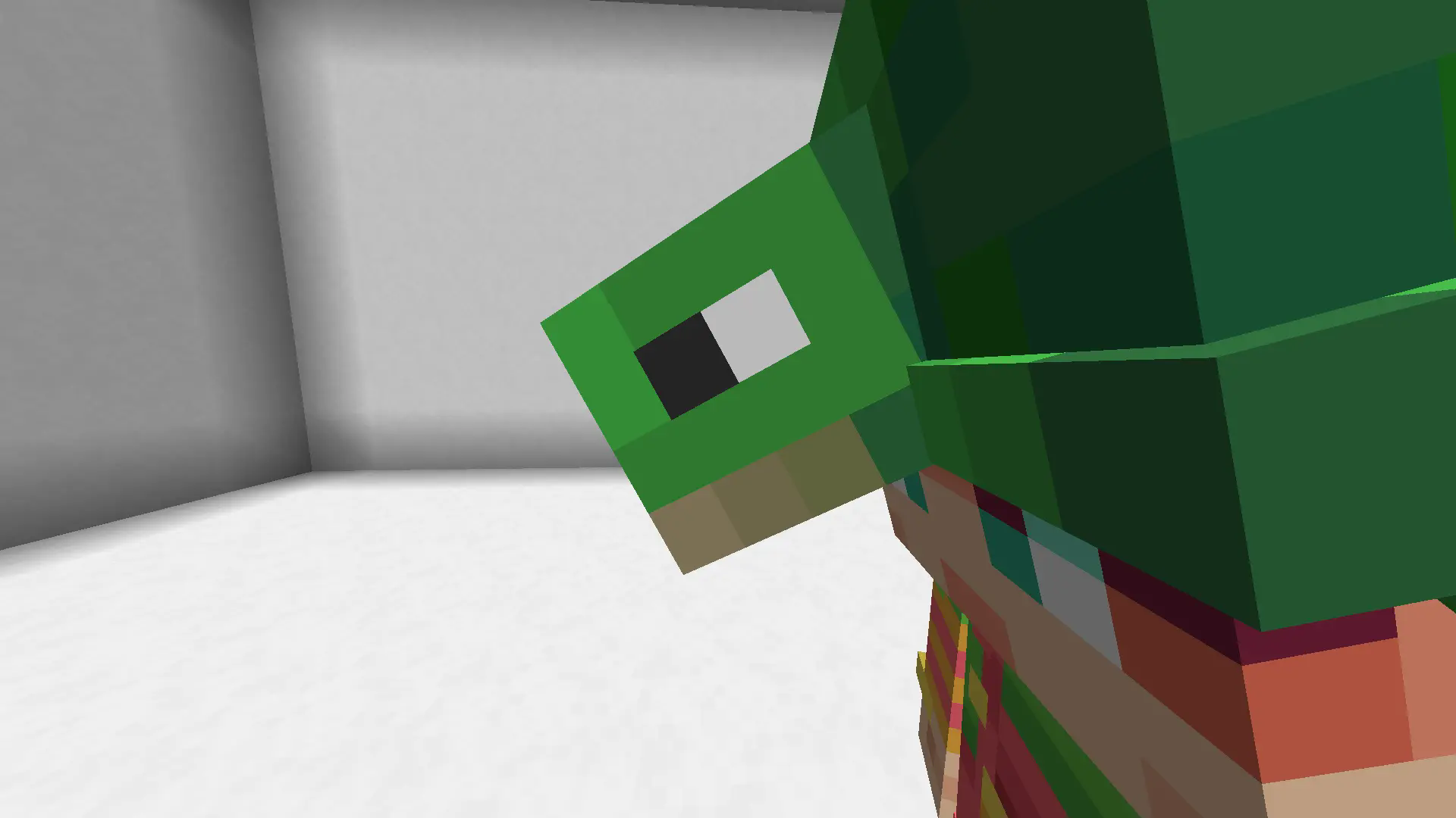 Turtle Scute? NAH ITS AN ALIVE TURTLE!