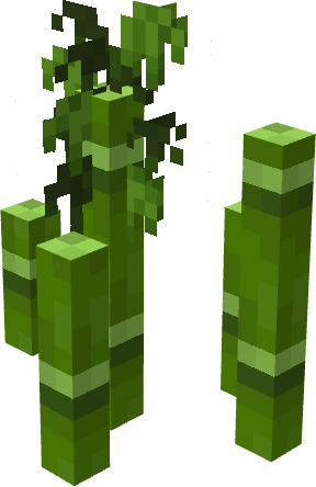 Bamboo - Variant 2