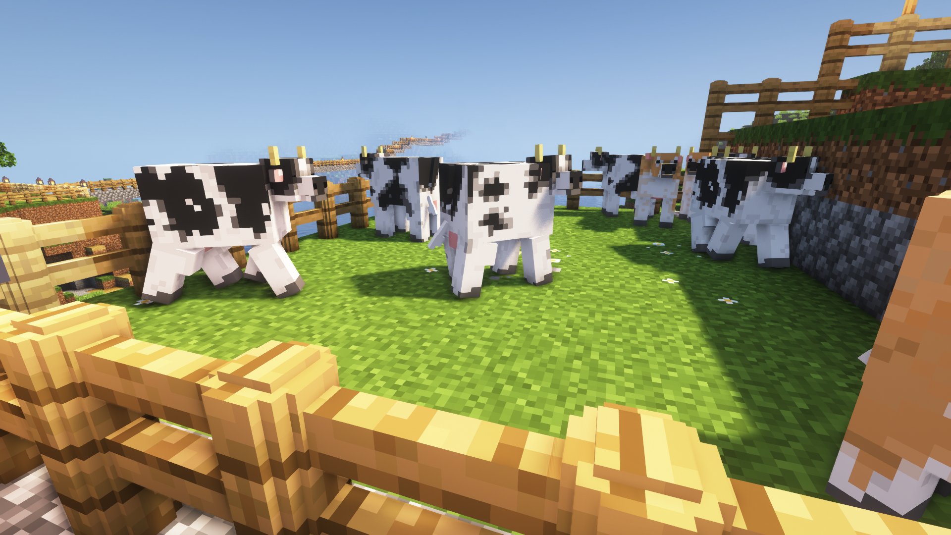 cow1