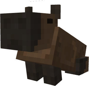 Capybara sitting down