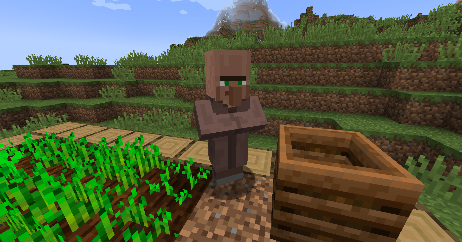 Farmer Villager