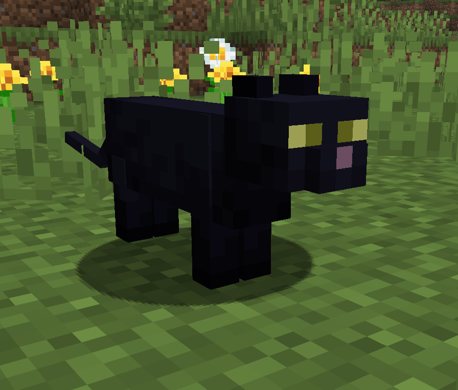 all_black_green_eyes