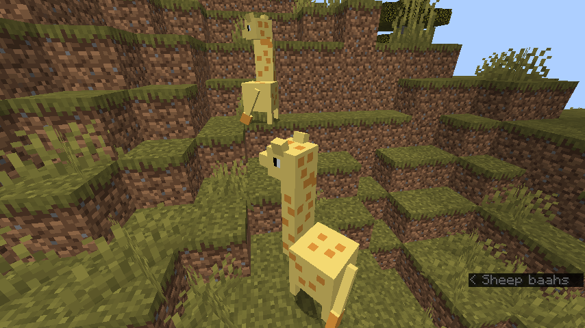 Two giraffes in a hill