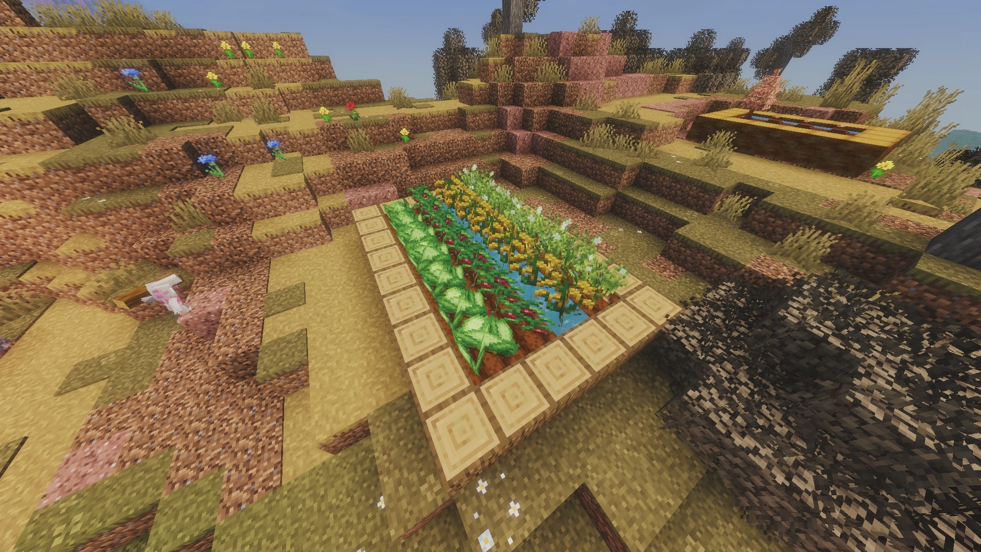 New crops