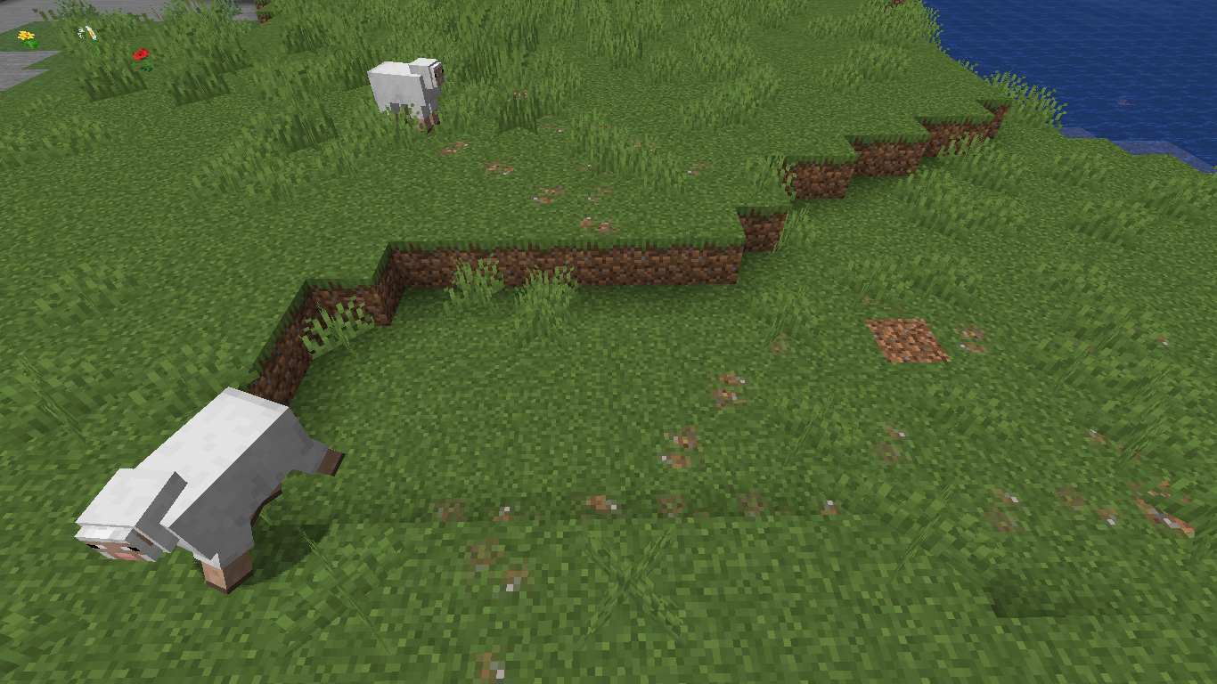 footpaths by sheeps