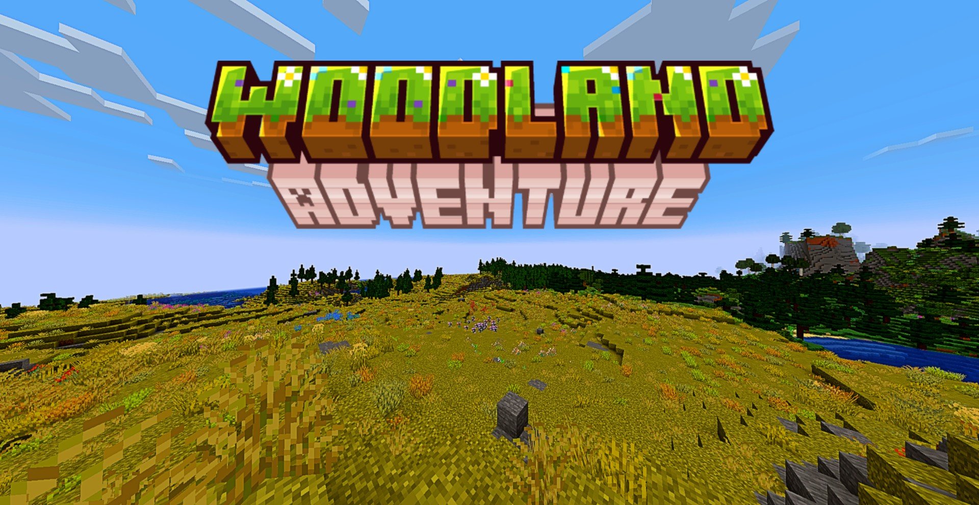 Woodland Adventure