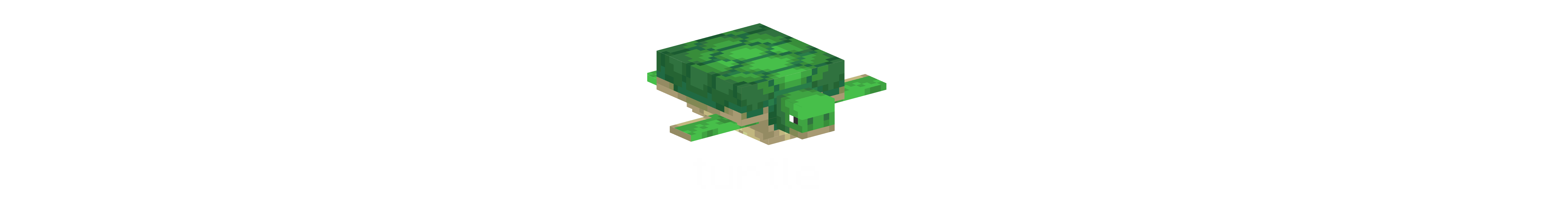 turtle