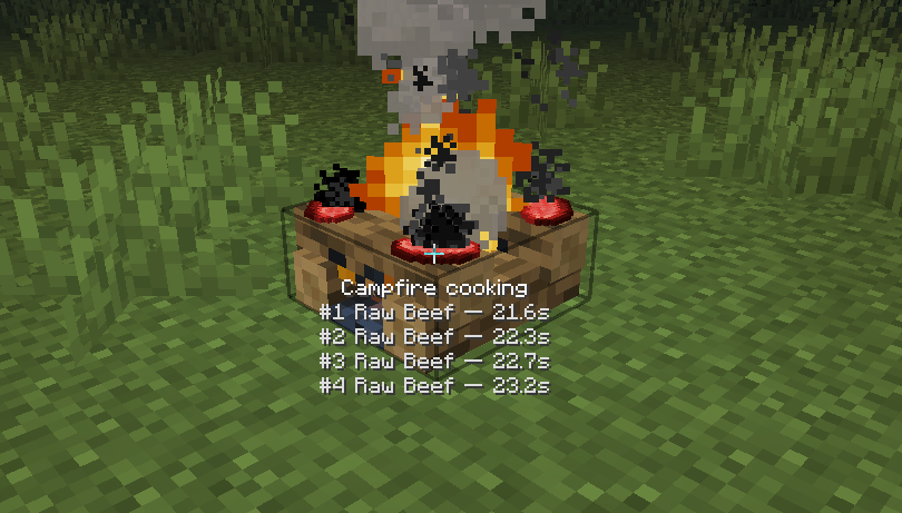Campfire cooking preview