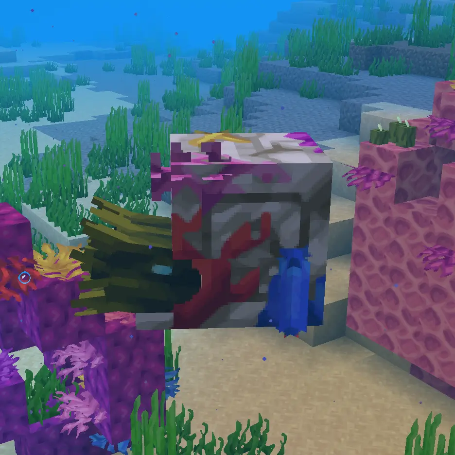 coral zombie nautilus