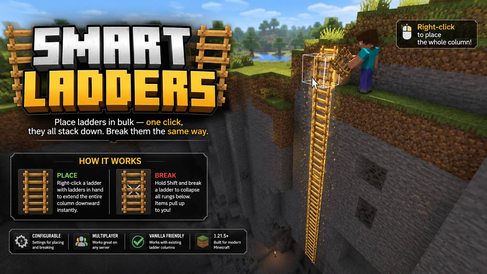Smart Ladders