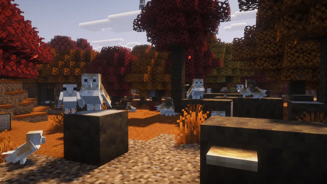 Owls in the Dappled Forest