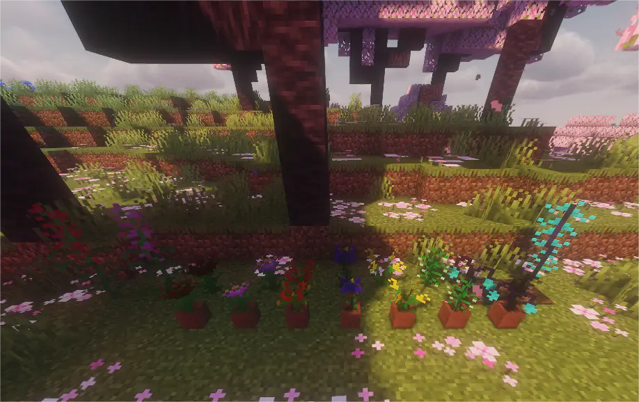 All plants from release 1