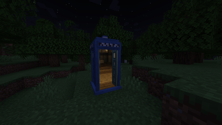 A glimpse into a TARDIS