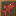 Take Platinum-tiered fish