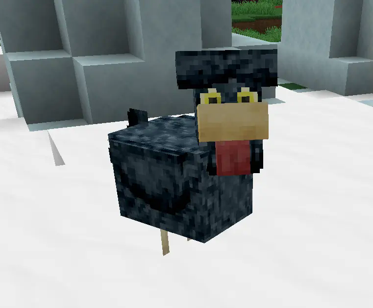 Cold Chicken