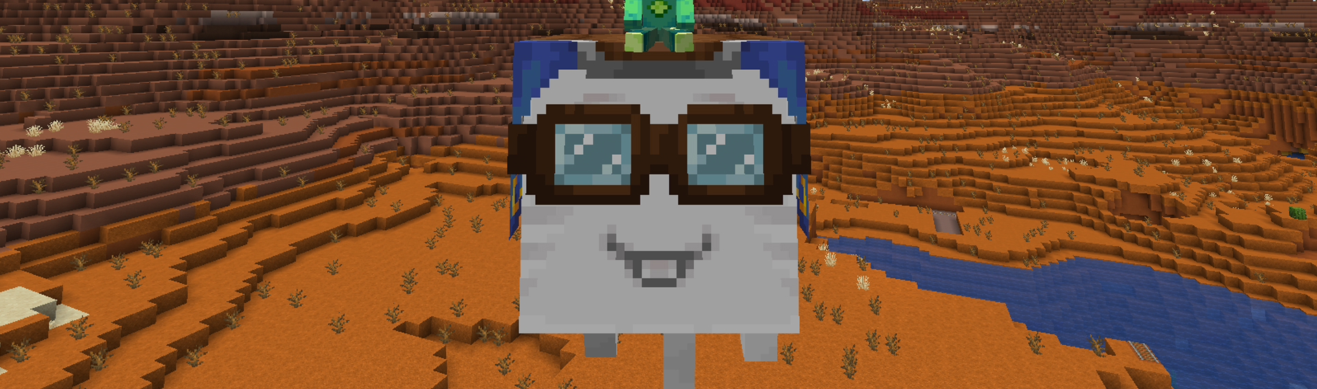 Banner