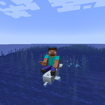 riding-dolphin