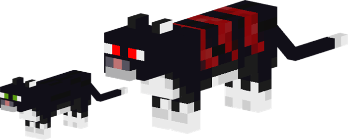 cursed cat
