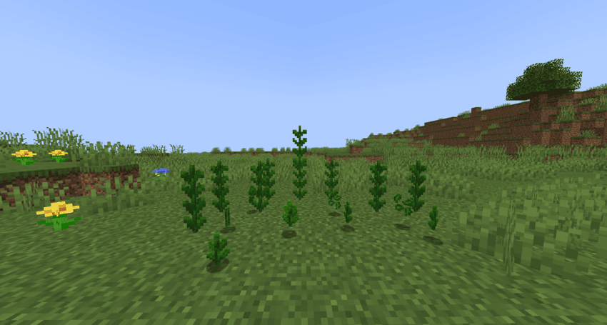 Medica Herb
