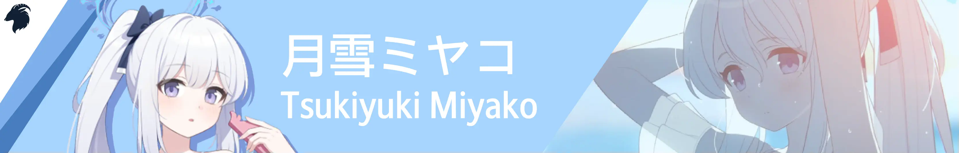 Miyako Train