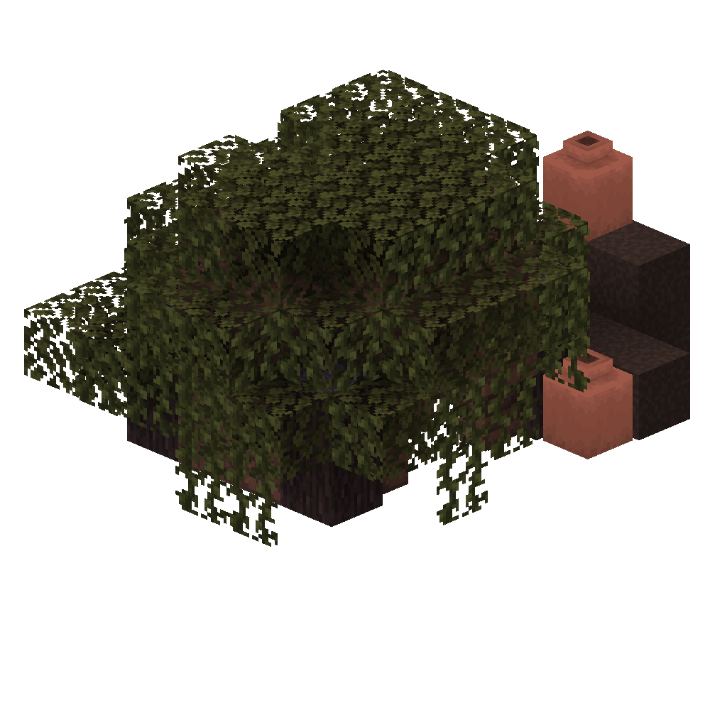 Dung Collector's House
