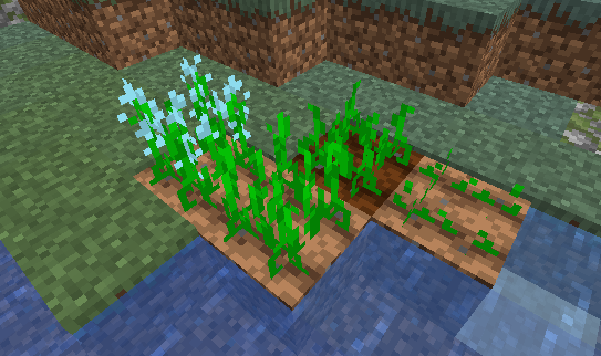 New plants
