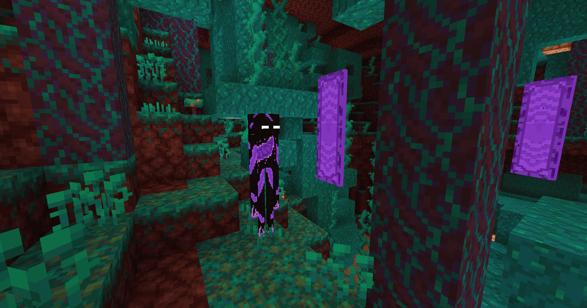 Warped, with two portals, in the warped forest