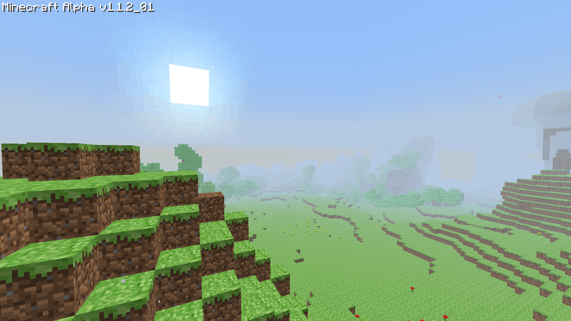The main world
