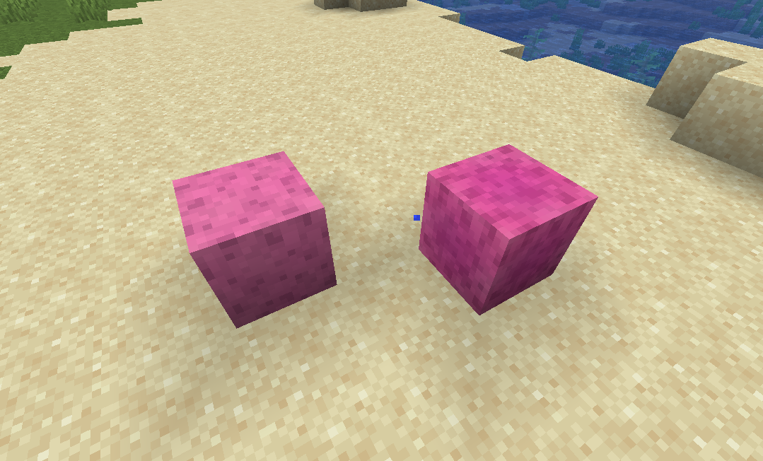 Dry and wet sponges on the beach!