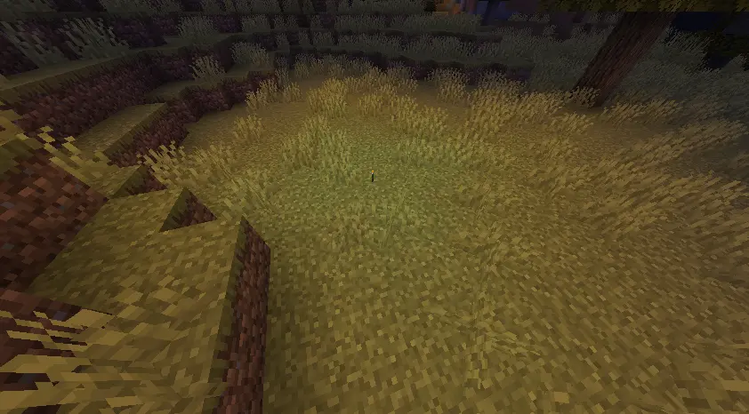 media of serverside dynamic lighting