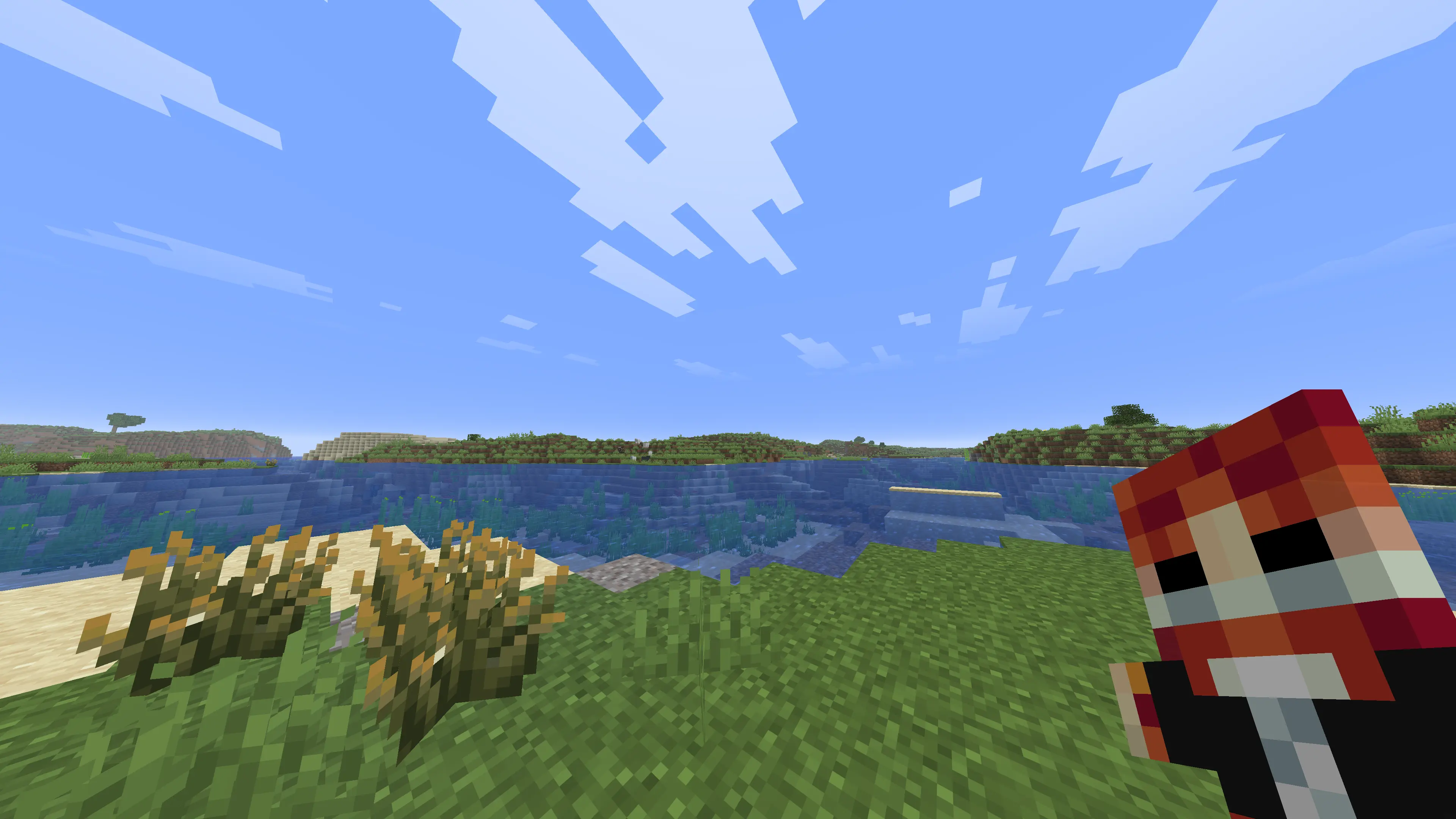 jeb_ Totem held in hand