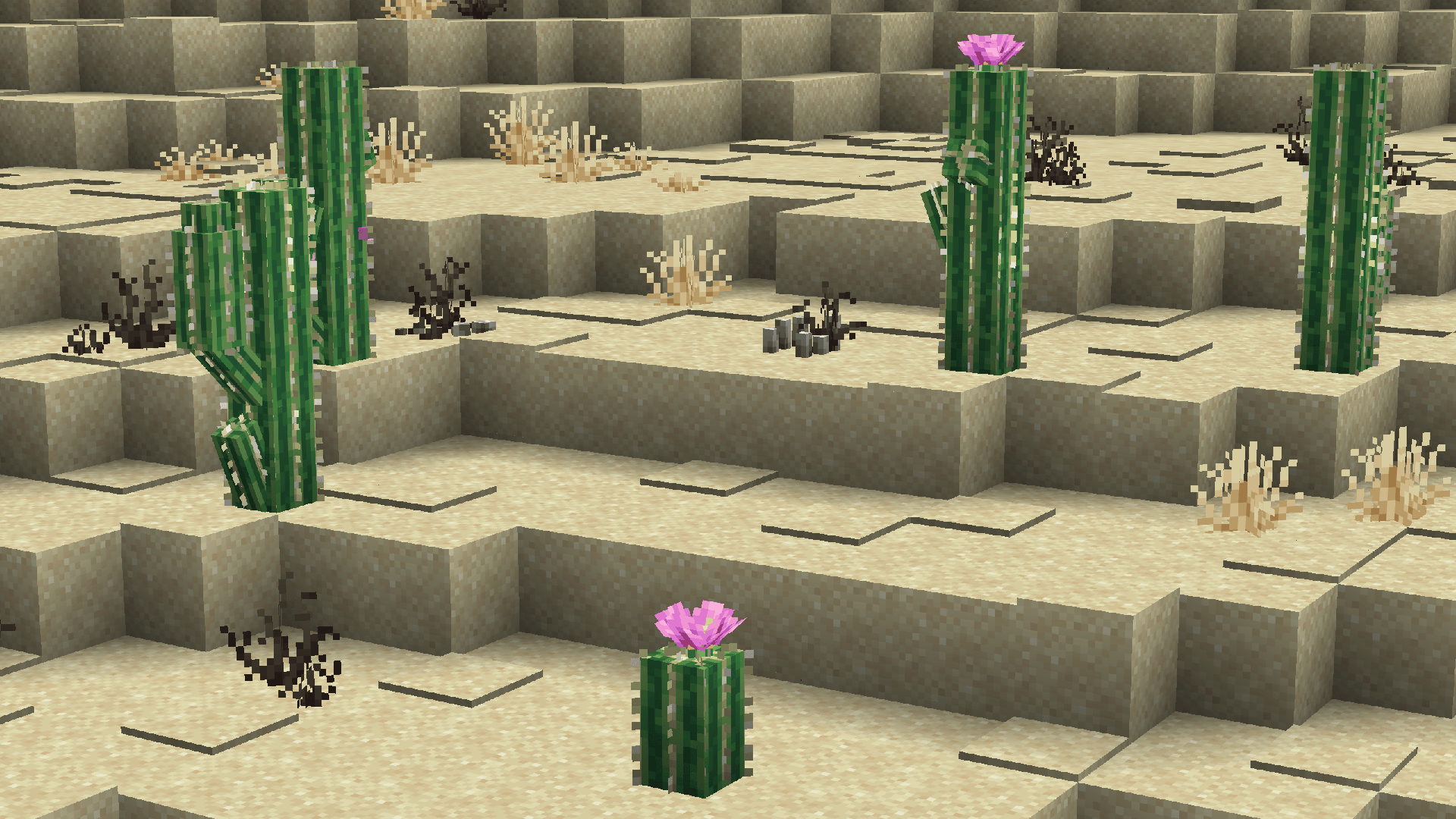 desert