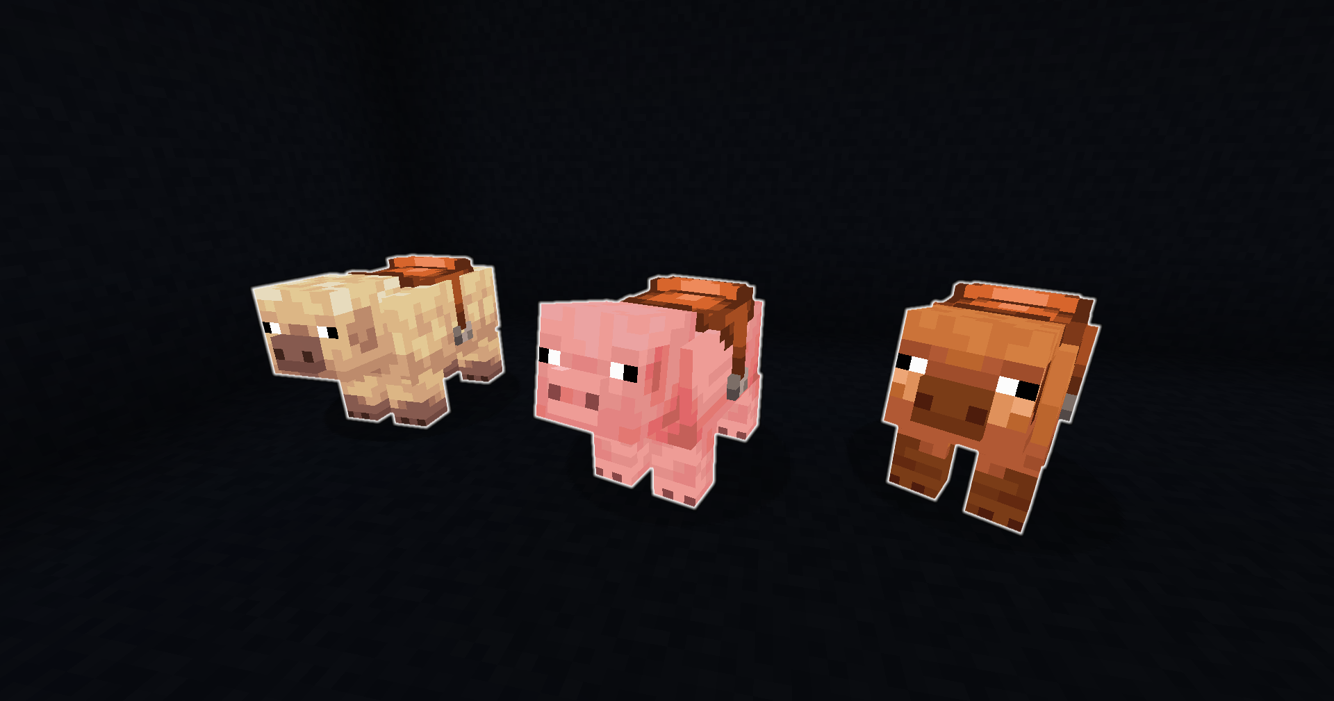 All three pig variants are lined up. Each of them is wearing a saddle.