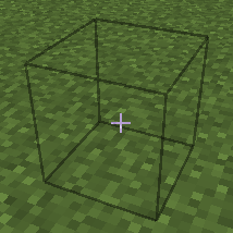 An In-Game Picture of the outline of the invisible grass