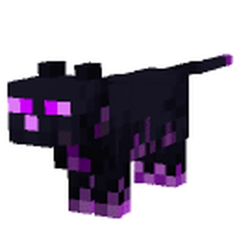 Ender Cat