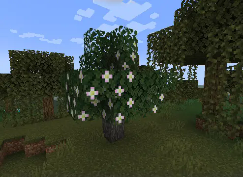 Apple Tree in the swamp