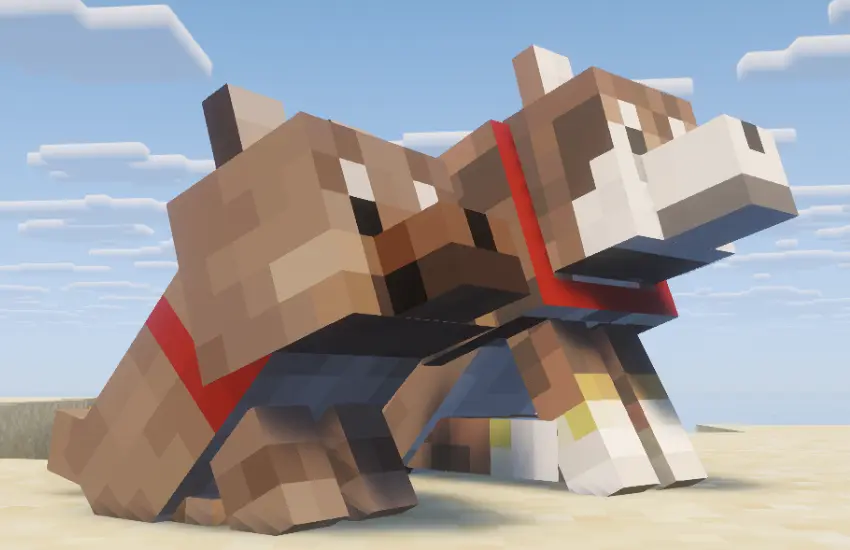 Sesame Shiba with Puppy