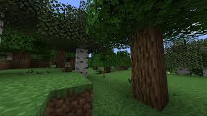 Leaf particles falling from trees