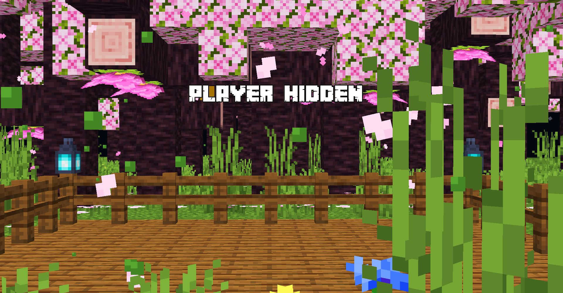 Player Hidden