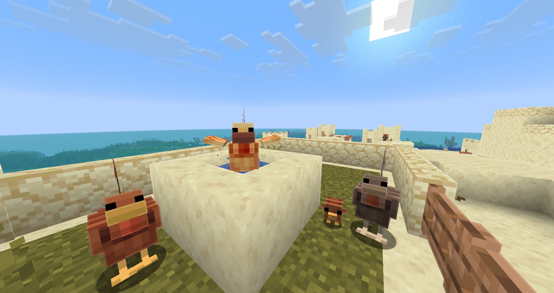 A flock of warm chickens with one of the chickens swimming in water