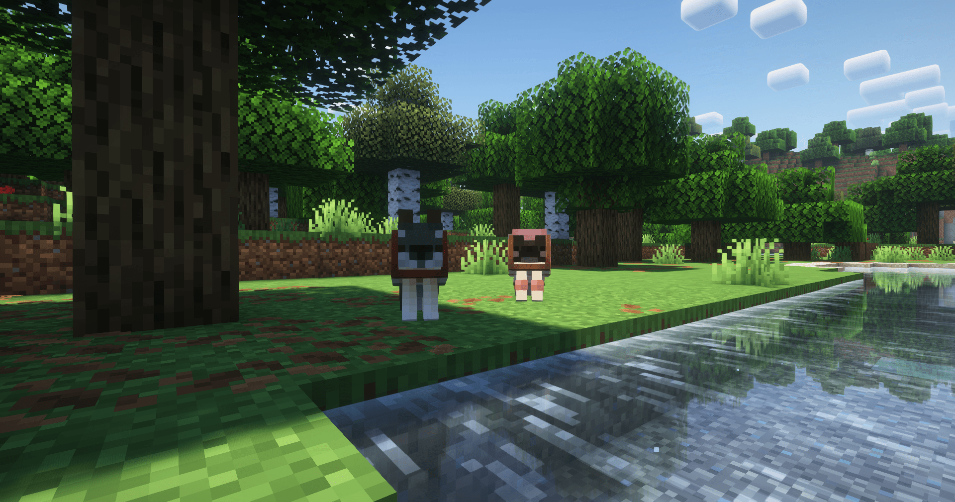 Doggos found in the Forest Biome